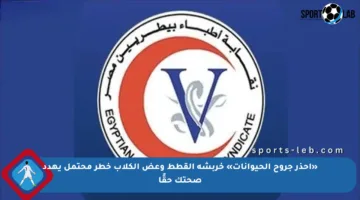 «احذر جروح الحيوانات» خربشة القطط وعض الكلاب خطر محتمل يهدد صحتك حقًا